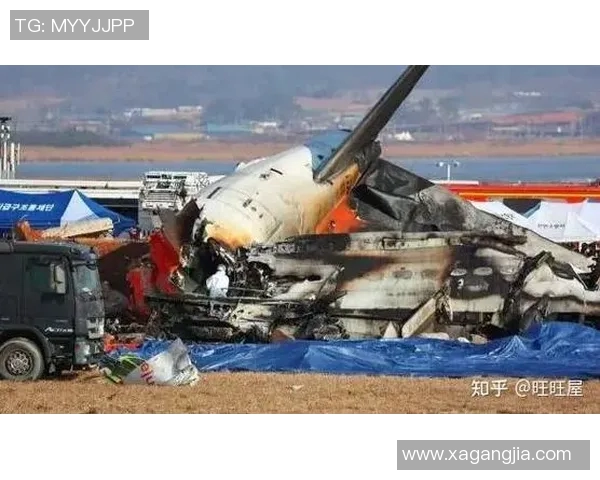 足球明星遭遇飞机失事事件引发全球关注与哀悼